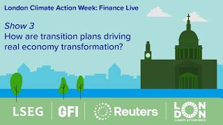 Show 3: How are transition plans driving real economy transformation?