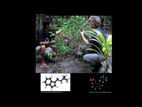 Graham Hancock A guerra da consciência Banido TED TALK part 1 (PT-BR)