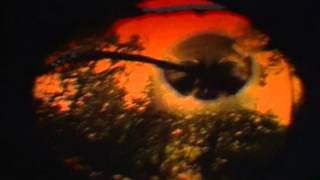 Dismember   Dreaming In Red