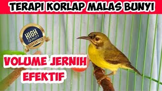Download lagu TERAPI KORLAP MALAS BUNYI EFEKTIF AGAR KOLIBRI KELAPA CEPAT GACOR KEMBALI mp3 Download lagu TERAPI KORLAP MALAS BUNYI EFEKTIF AGAR KOLIBRI KELAPA CEPAT GACOR KEMBALI mp3