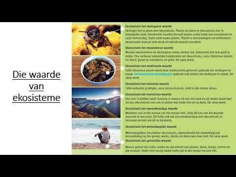 LEWENSWETENSKAP GRAAD 8: 4 Mei 2020 - periode 7 (0487)