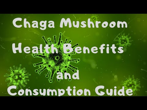 Chaga Mushroom Health Benefits and Consumption Guide