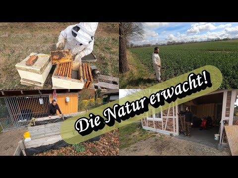 Ein Lebenszeichen im neuen Bienen- und Gartenjahr!