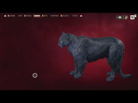 Far Cry 6 - 108 - oddanie bożków Triady na wyspę Santuario, nowy towarzysz Oluso