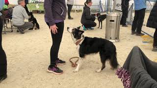 Felix's 5th Birthday