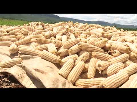 Icyanya cyuhirwa cya Nasho cyabakijije inzara