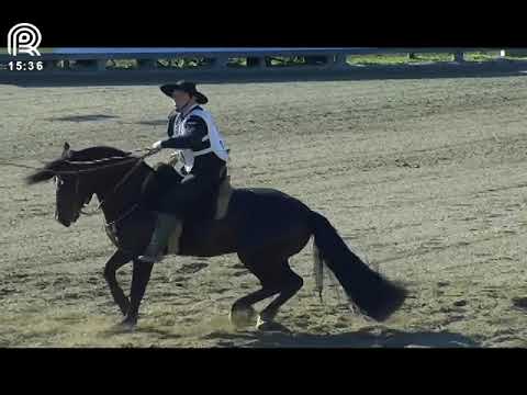 Final Freio de Ouro (RS) – 2° lugar machos – Peñarol da Boa Vista (Prova: Bayard/Sarmento)