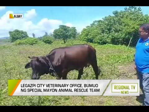 Regional TV News: Special Mayon Animal Rescue Team