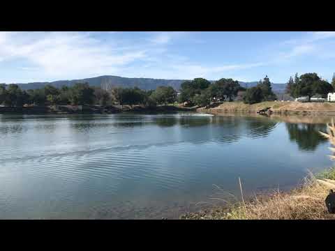 UL19 upgraded turn fin