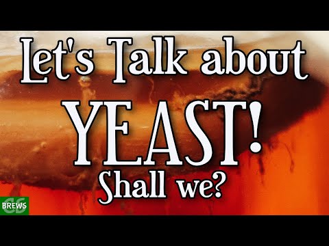 Yeasts we Use for Wine Cider and Mead - Demystifying Yeast Selection