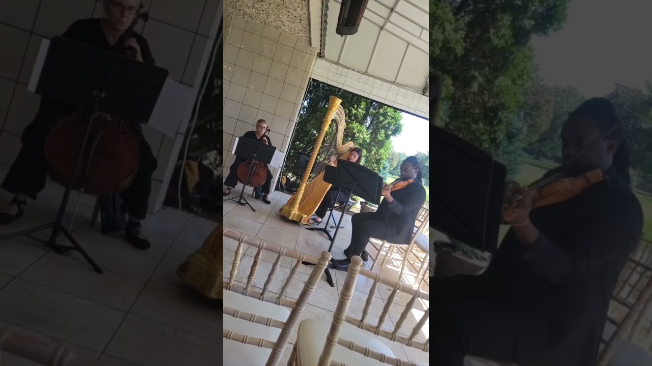 Promotional video thumbnail 3 for TDB Violin