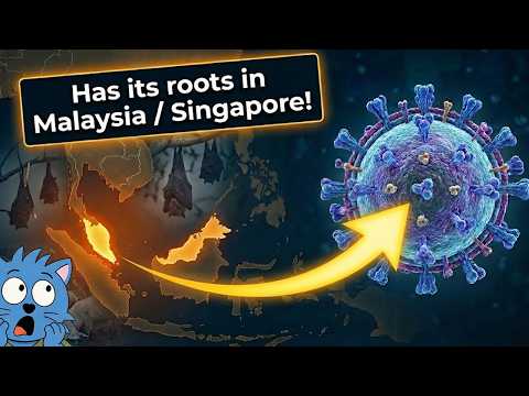 Everything About the Latest Nipah Virus Outbreak in 3 Minutes