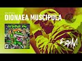 Esham-Dionaea Muscipula (Venus Flytrap)