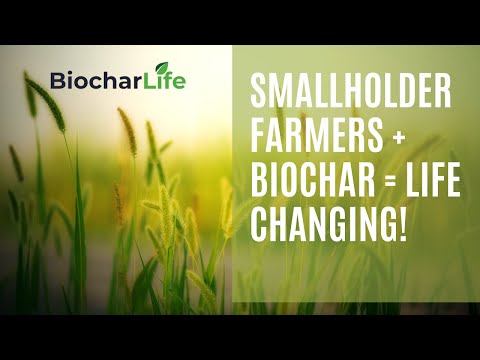 Biochar Life