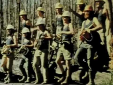 Save The Trees - Terania