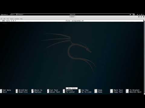 04 Bash Scripting in Kali Linux