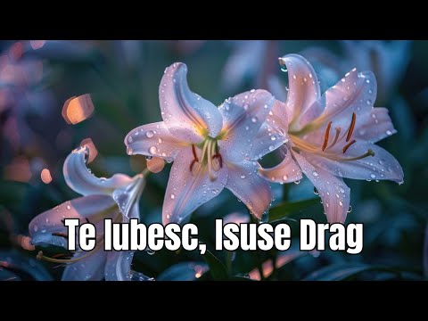 Te Iubesc, Isuse Drag – Cea Mai Emoționantă Cântare Creștină a Iubirii Lui Dumnezeu