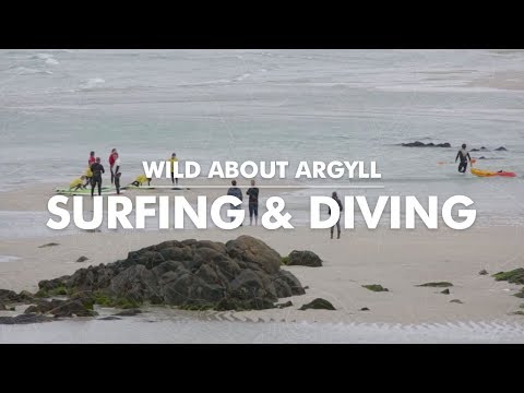 Surfing & Diving - Wild About Argyll