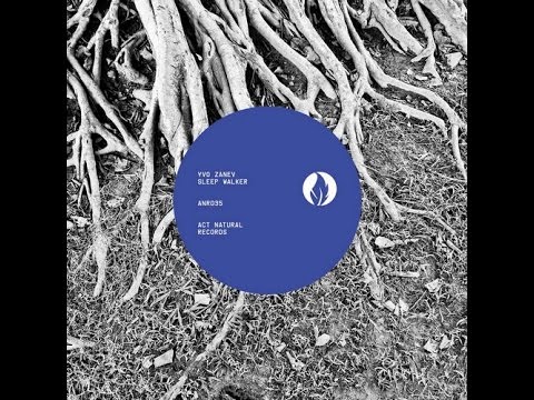 Yvo Zanev - Strangers Bite