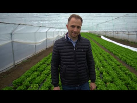 TĂRÂMUL EROILOR: Marian Spiridon, legumicultor pasionat din Fierbinți, județul Dâmbovița