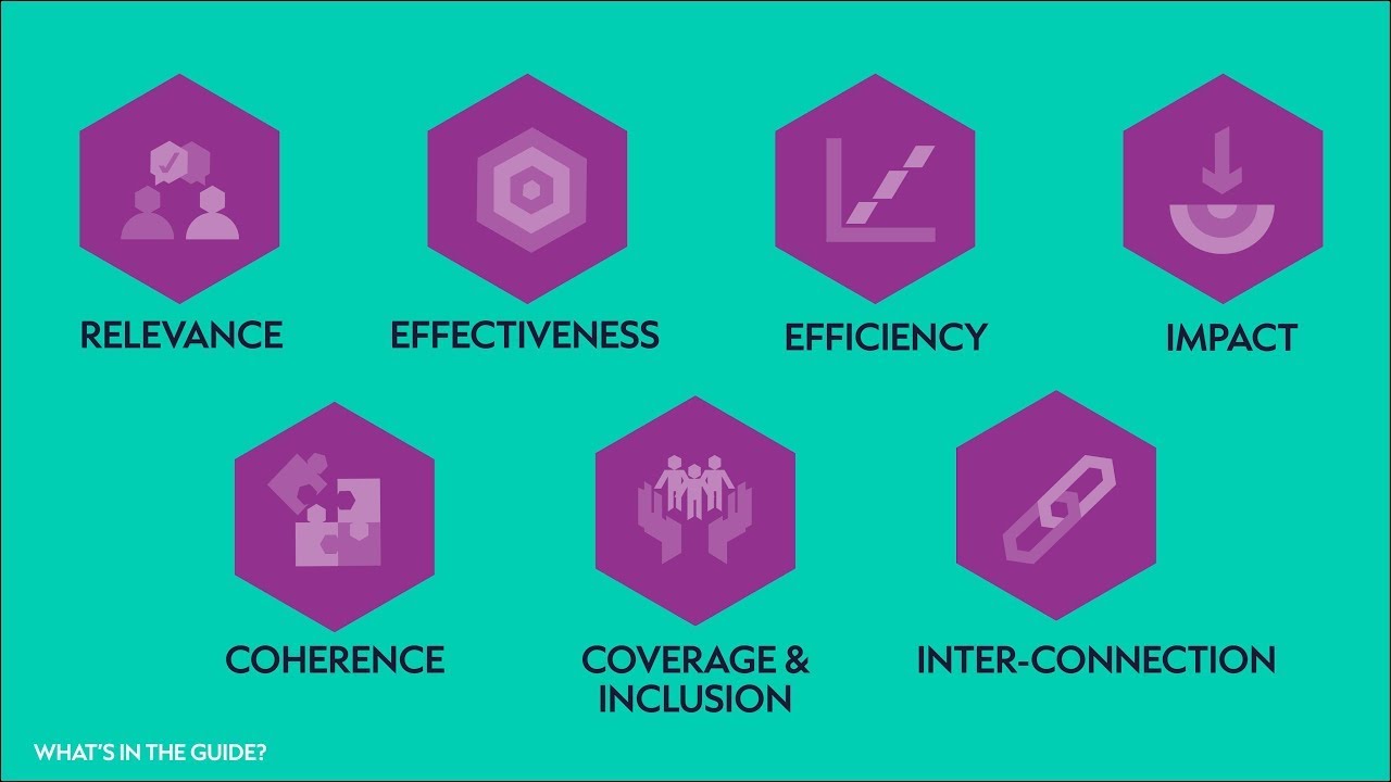 Adapting the OECD Criteria for Evaluating Humanitarian Action | Introduction to ALNAP Guide