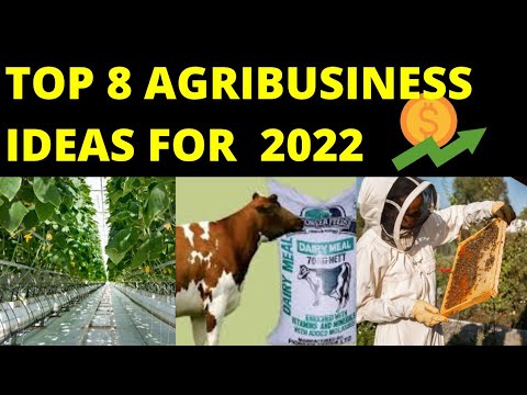 , title : '8 MOST PROFITABLE AGRIBUSINESS IDEAS TO START IN 2023'