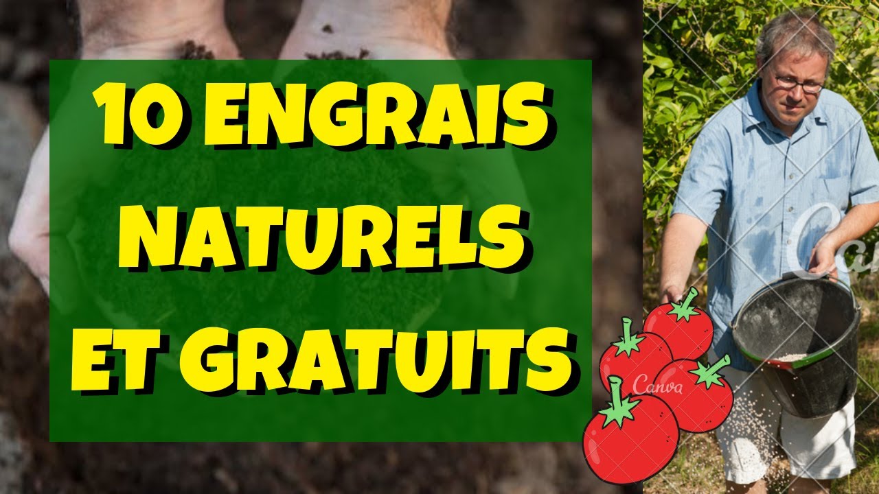 10 engrais naturels ET gratuits pour votre potager !