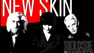 Siouxsie &amp; the Banshees - New Skin (lyrics)