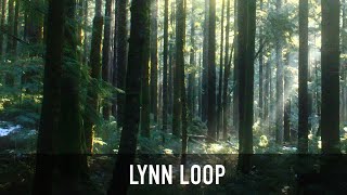 A detailed video of the entire Lynn Loop
