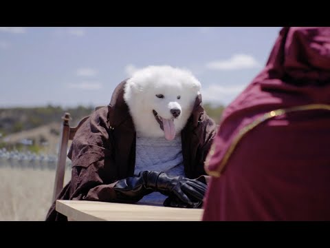 Greymane  - Master Negotiator