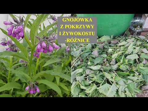 NETTLE AND COMPRESSOR MANURE - DIFFERENCES. MANURE - WHEN TO USE WHICH?