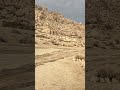 Desert After heavy rain