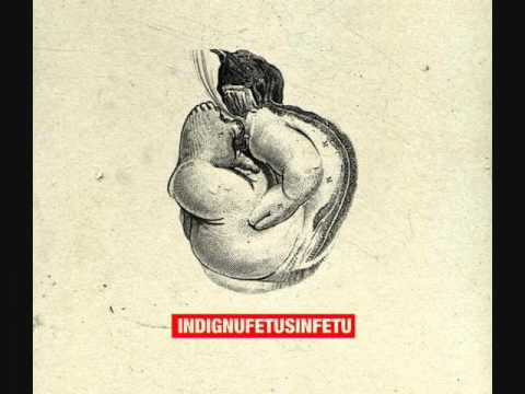 Indignu - Fetus In Fetu (ALBUM STREAM)