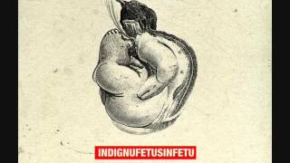 Indignu - Fetus In Fetu (ALBUM STREAM)