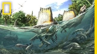 Nizar Ibrahim: Lost Giant of the Sahara | Nat Geo Live