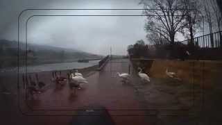 preview picture of video 'Mit dem Fahrrad die Elbe entlang zum Blauen Wunder in Dresden | Actioncam X7'