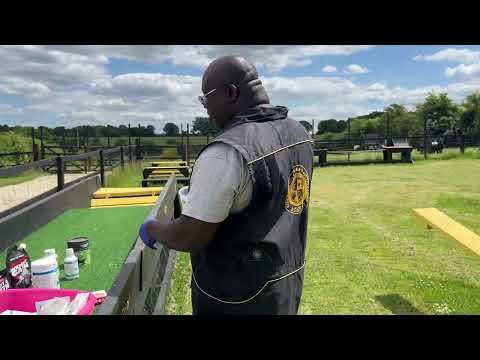 Attila 14 month old Chinese Red dog IMPOR!! Building him up what do we feed!! www.poochdvd.com