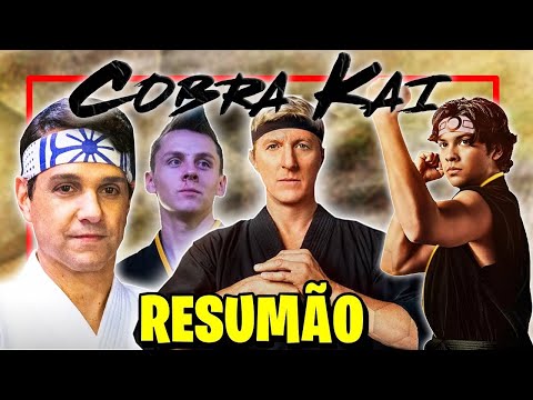 Cobra Kai (AS 6 TEMPORADAS): A História em 1 Vídeo!