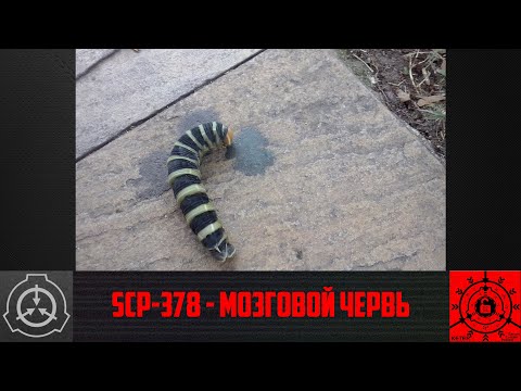 SCP-378 - Мозговой червь (старая версия)   【СТАРАЯ ОЗВУЧКА】
