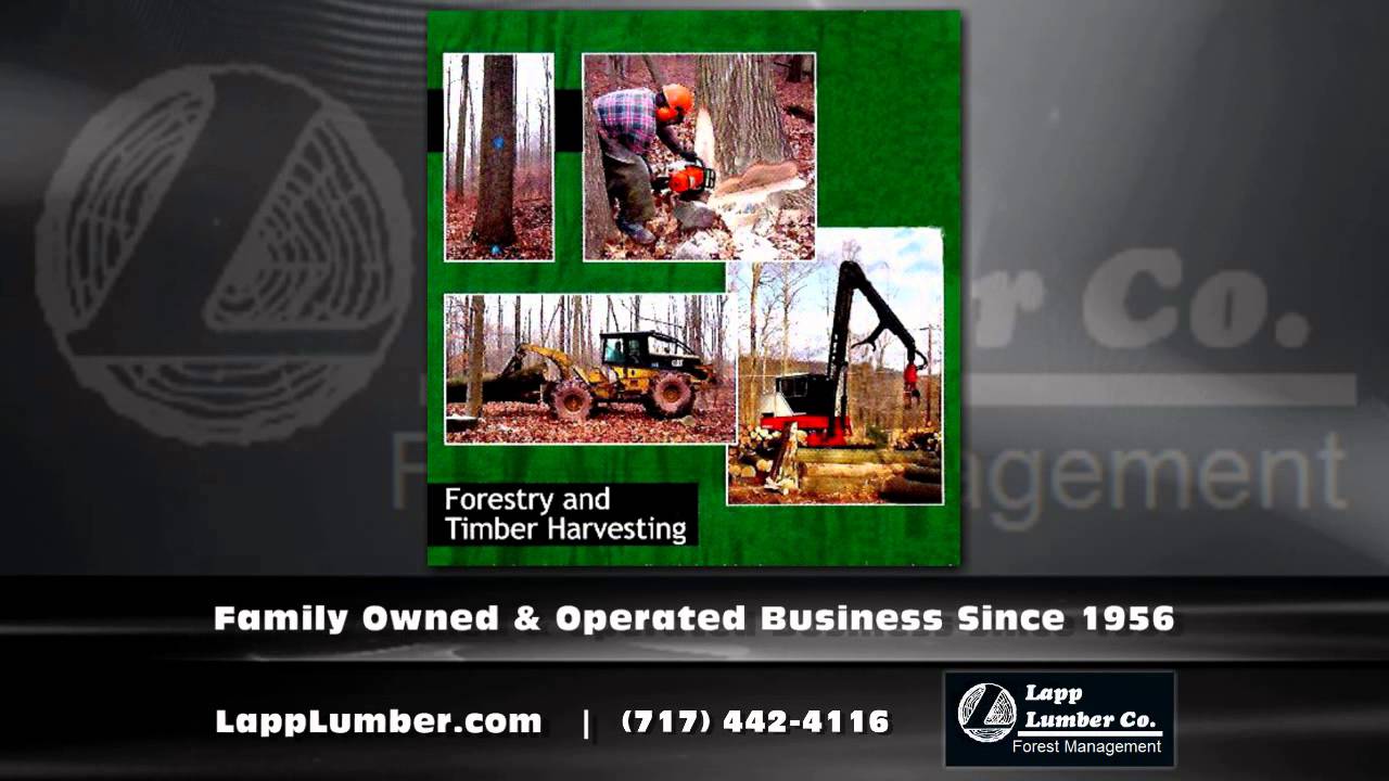 Timber Mill Lancaster County PA - Lapp Lumber Co