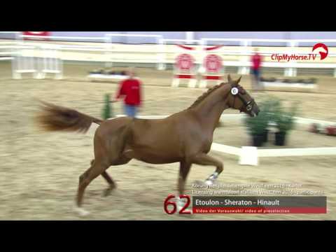 62  Etoulon - Sheraton - Hinault