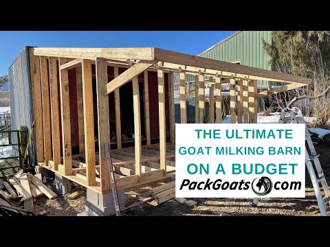 , title : 'Ultimate Goat Milking Barn on a Budget'