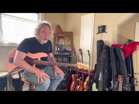 Bass String Comparison/Demo : La Bella Black Nylon Tape wounds vs La Bella Deep Talkin’ Bass Flats