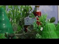 Over The Hill Opening Scene Remake UK
