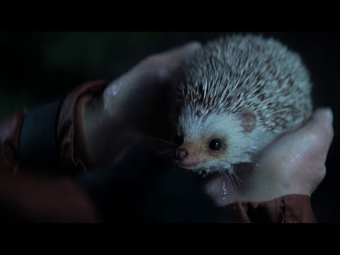 Staatsloterij Oudejaarstrekking | Freddie