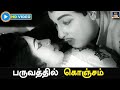 பருவத்தில் கொஞ்சம் Paruvathil Konjam Video Song HD MGR Shaukar Jan