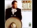 Chata Bonita - Pepe Aguilar