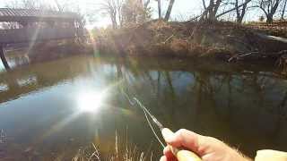 preview picture of video 'Slough Creek 12/01/2013 Sedgwick County Park with Mark Pierce'