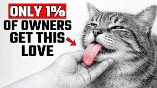 6 Rare Behaviors Cats Show ONLY When They Love You Deeply
