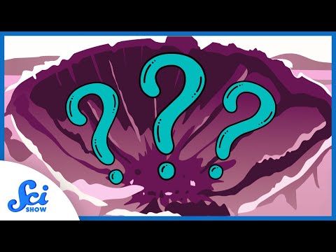 The Oldest Crater from a Meteorite…Isn't a Crater after All?